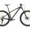 Ns-bikes NS Eccentric Alu 2021 Bike
