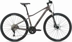 Liv Rove 1 DD 2021 Womens Bike