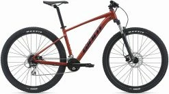 Giant Talon 2 2021 Bike