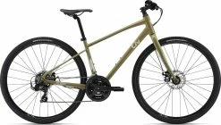 Liv Alight 3 DD Disc 2022 Womens Bike