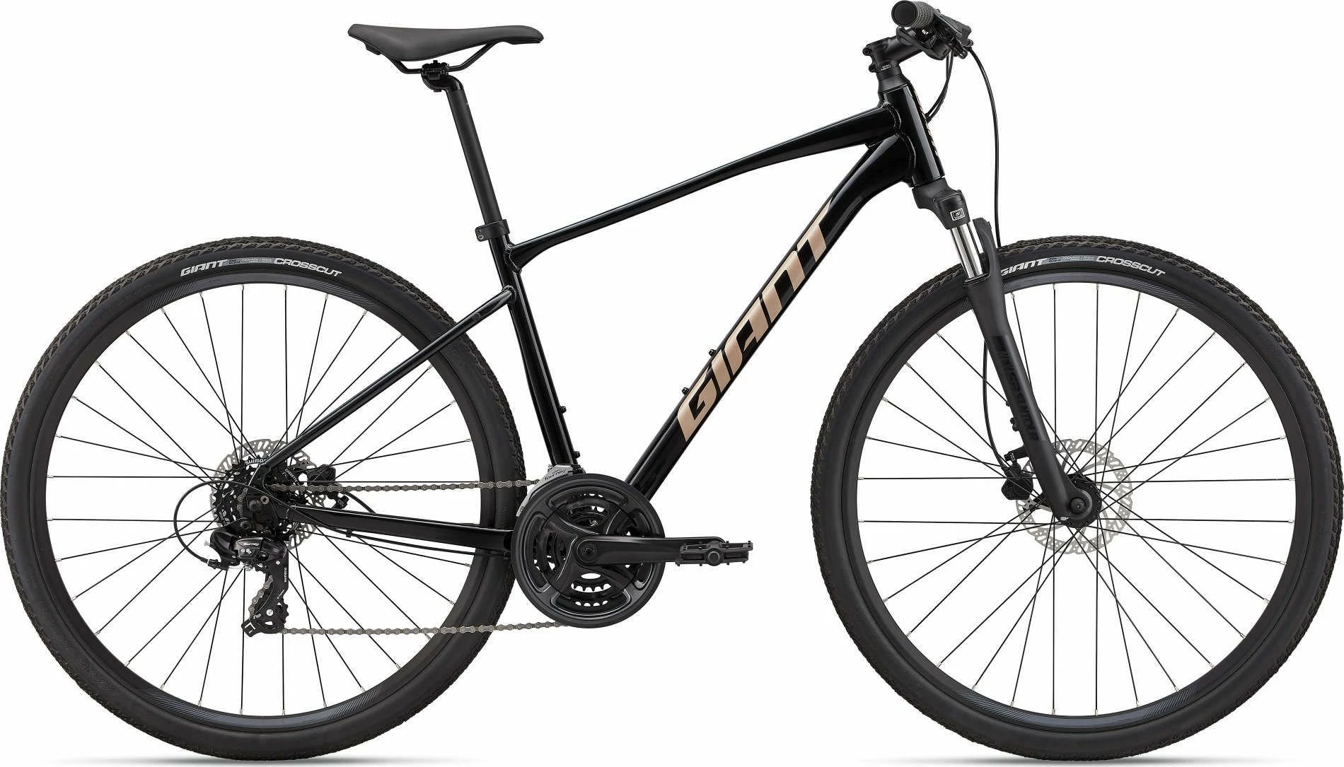 Giant Roam 4 Disc 2022 Bike