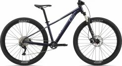 Liv Tempt 29 1 2022 Womens Bike