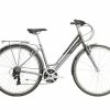 Raleigh Pioneer 2021 Womens Bike