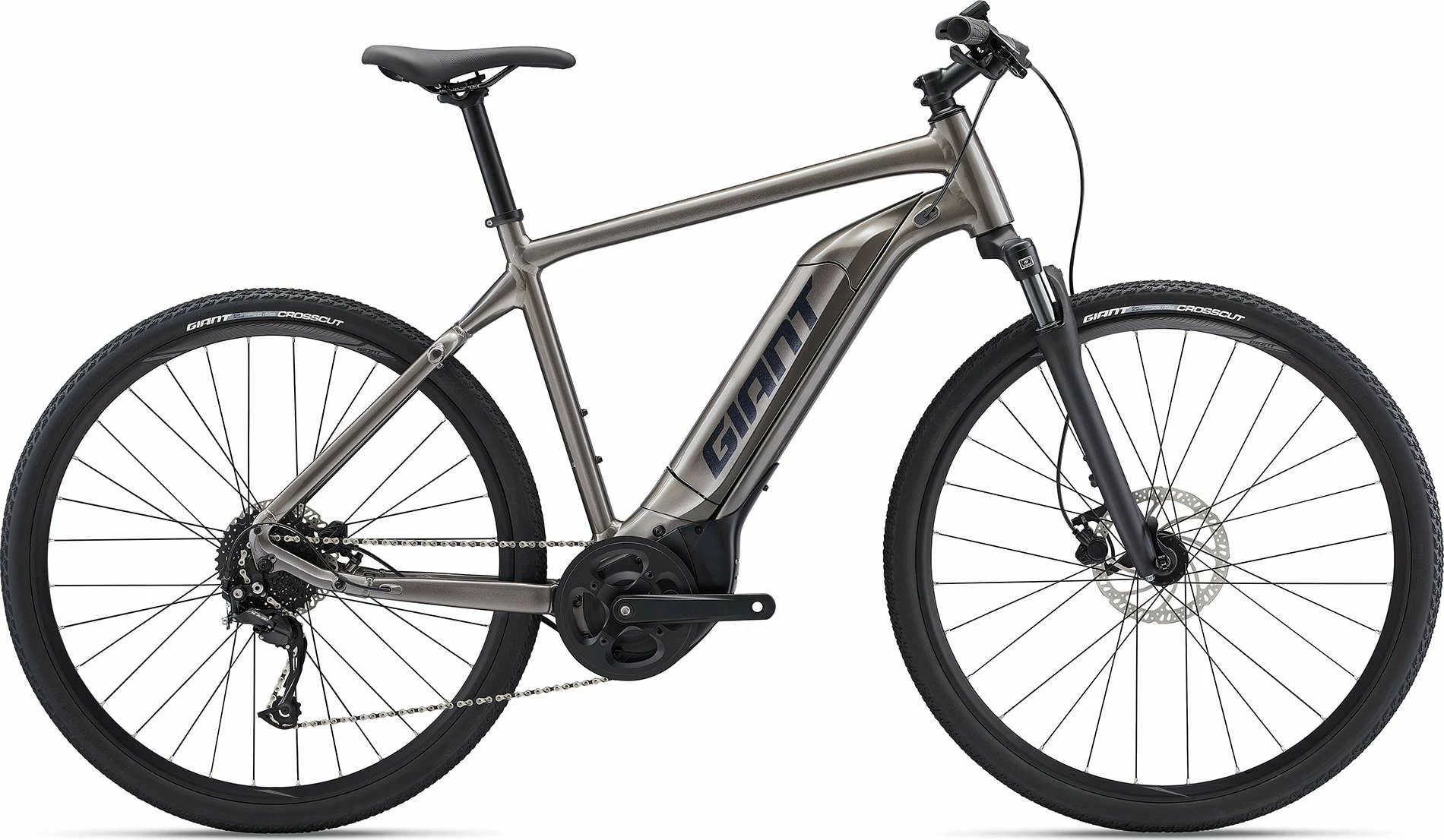 Giant Roam E+ GTS 2022 Bike