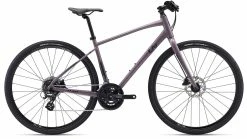 Liv Alight DD Disc 2 2022 Womens Bike