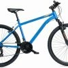 Coyote Neutron AFS 2020 Bike