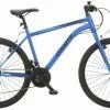 Coyote Element AXR 2020 Bike