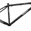 Surly Bridge Club 2020 Frame