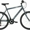 Freespirit Tracker 29-inch 2021 Bike