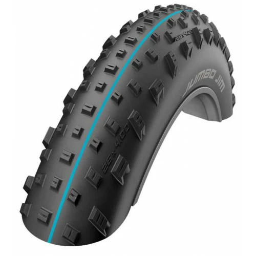 Pneumatiques Pour Cycles 26x4.00 Pneu Fat Bike Schwalbe JUMBO JIM - Evolution Line TubelessEasy - HS466 - Tringle Souple - ETRTO 100-559 - Image 2
