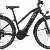 Liv Amiti E+ 2 2021 Womens Electric Bike