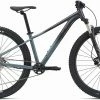 Liv Tempt 29 0 2021 Crest Fork Womens Bike