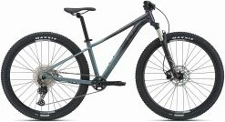 Liv Tempt 29 0 2021 Crest Fork Womens Bike