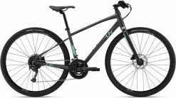 Liv Alight DD Disc 1 2022 Womens Bike
