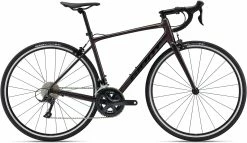 Giant Contend 1 2022 Bike