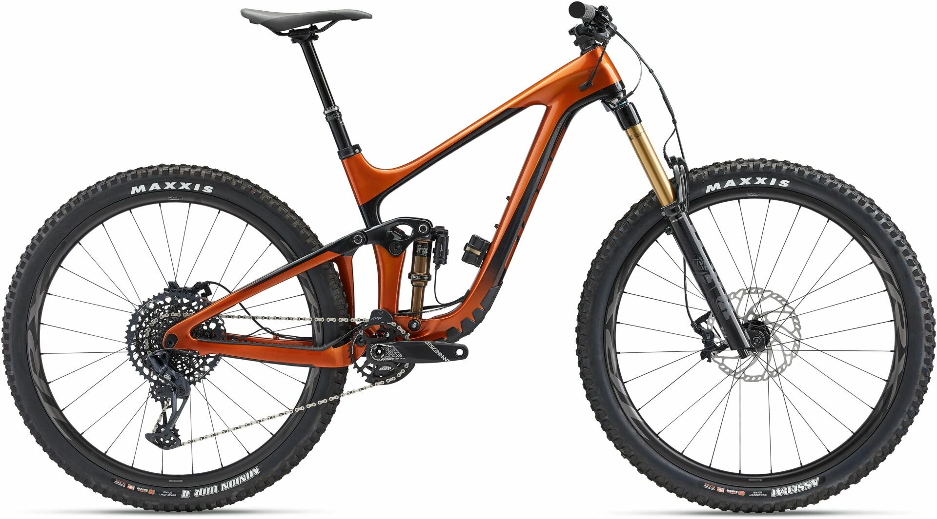 Giant Reign Advanced Pro 29 1 2022 Bike
