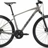 Giant Roam Disc 3 2022 Bike