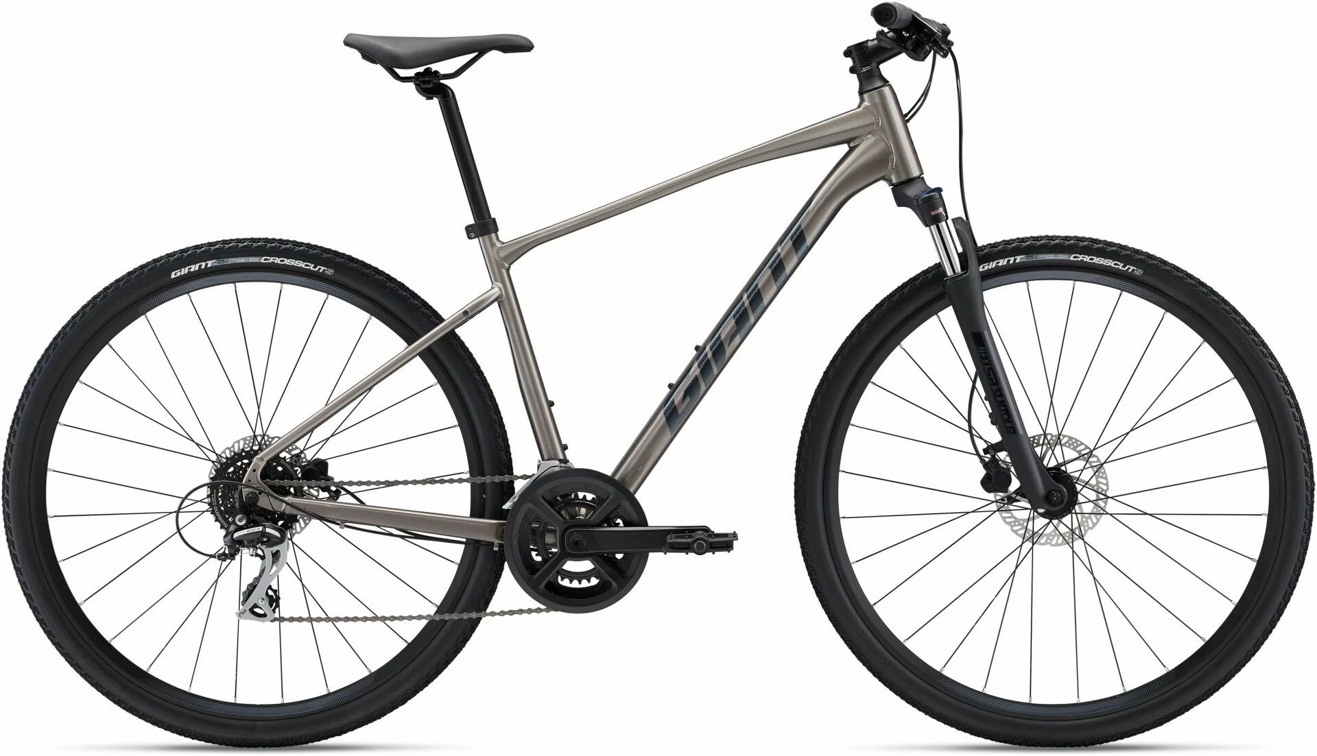 Giant Roam Disc 3 2022 Bike