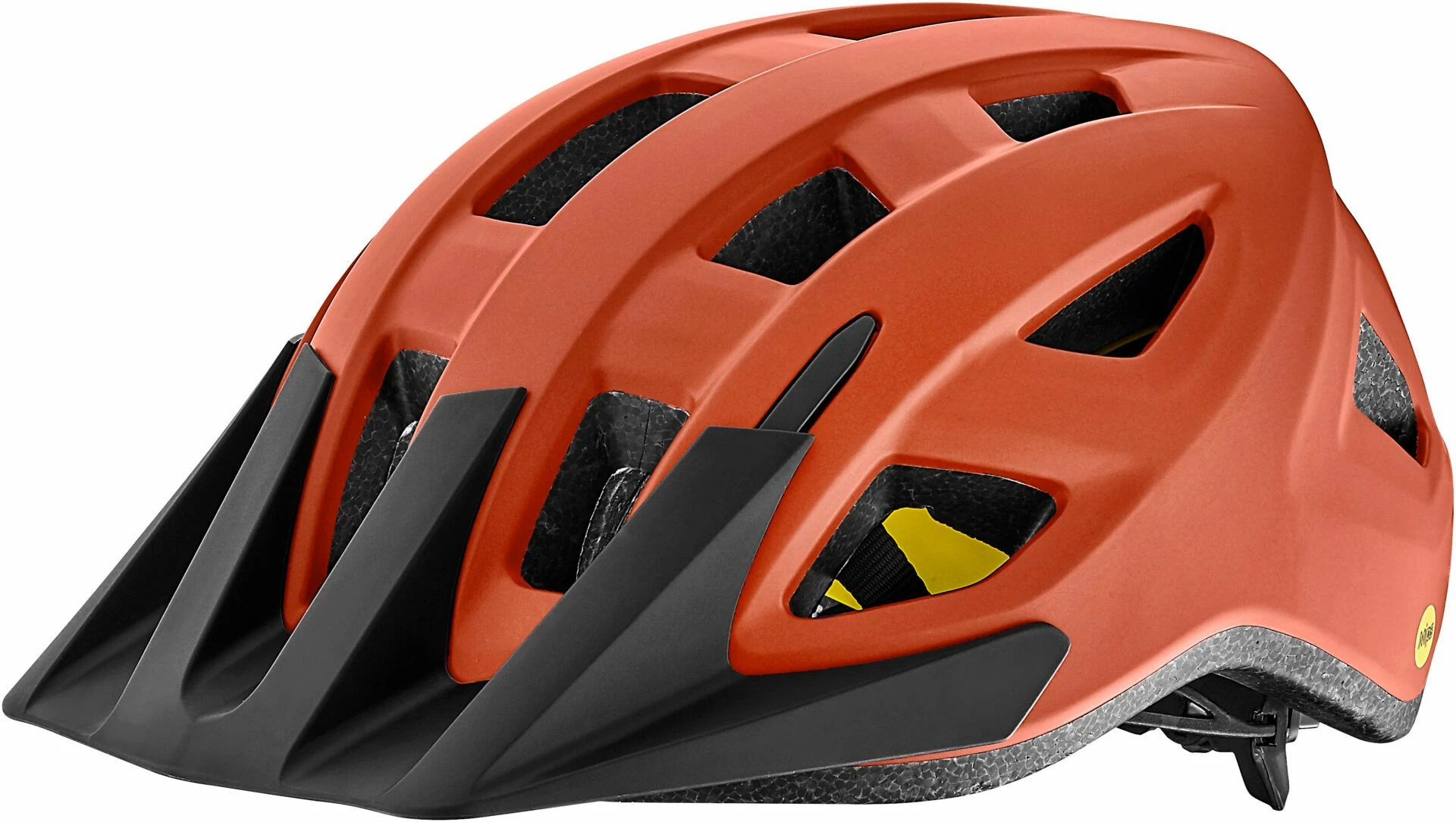 Giant Path MIPS Helmet
